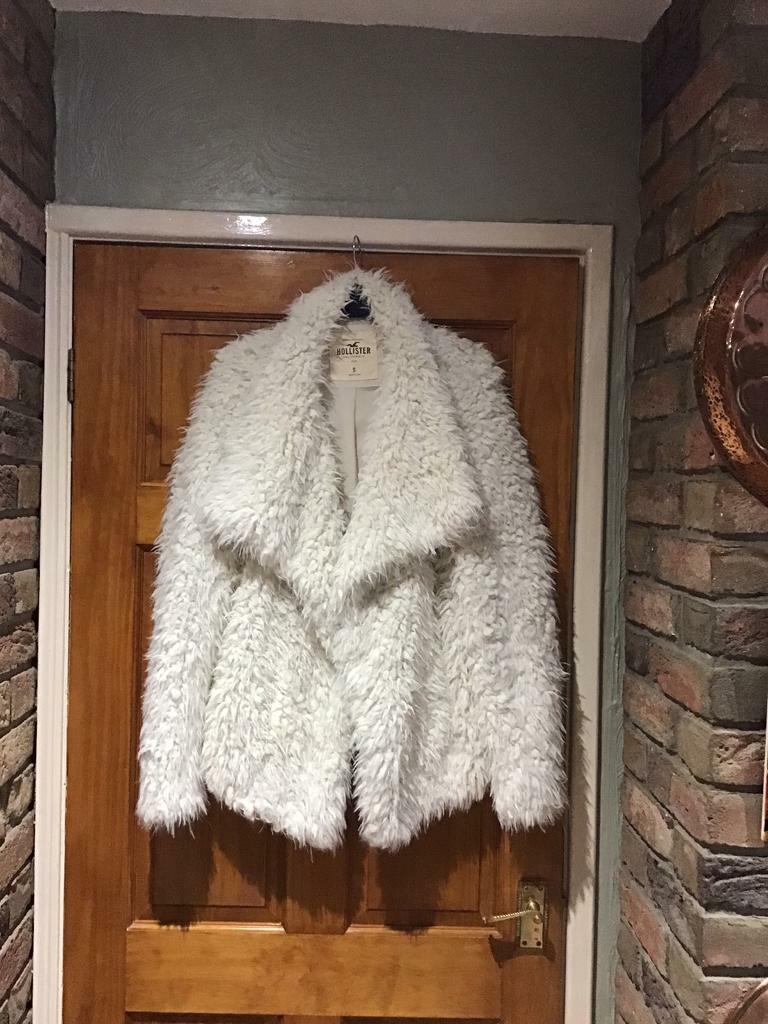 hollister teddy bear